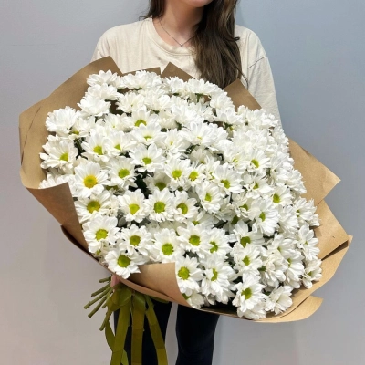 Букет «21 ромашка» – нежные белые кустовые хризантемы в натуральном стиле Армавир Краснодарский край Букет «21 ромашка» – нежные белые кустовые хризантемы в натуральном стиле Армавир Краснодарский край