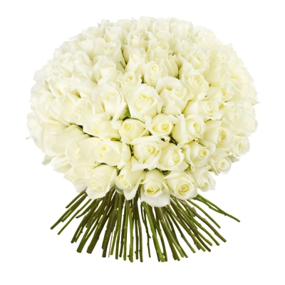 Роскошный букет из 101 белой розы – воплощение бесконечной любви Армавир Краснодарский край Роскошный букет из 101 белой розы – воплощение бесконечной любви Армавир Краснодарский край