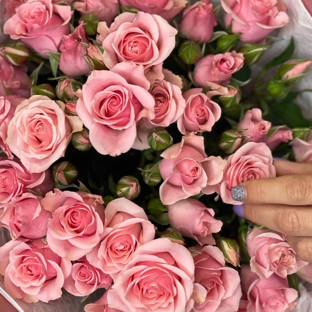Букет из 9 розовых кустовых роз – нежность в каждом лепестке Армавир Краснодарский край Букет из 9 розовых кустовых роз – нежность в каждом лепестке Армавир Краснодарский край