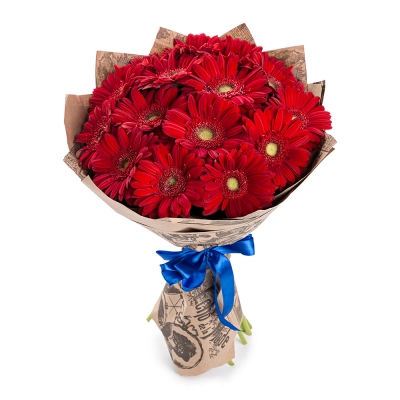 Яркий букет из 15 красных гербер – воплощение страсти и жизнерадостности Армавир Краснодарский край Яркий букет из 15 красных гербер – воплощение страсти и жизнерадостности Армавир Краснодарский край