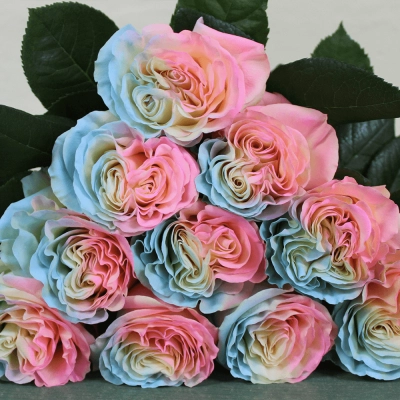 Яркий букет из 5 разноцветных роз – праздник в каждом лепестке Яркий букет из 5 разноцветных роз – праздник в каждом лепестке