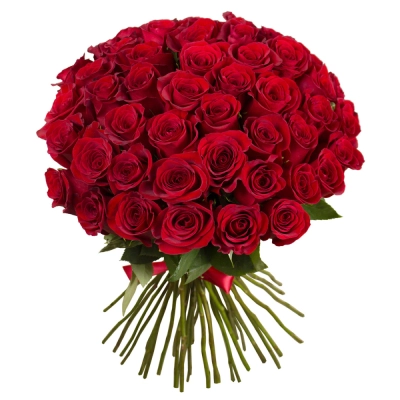 Букет «О, Шарман!» – 51 роскошная эквадорская роза Армавир Краснодарский край Букет «О, Шарман!» – 51 роскошная эквадорская роза Армавир Краснодарский край