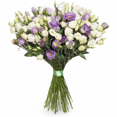 Изысканный букет из белых и фиолетовых эустом – гармония контрастов Армавир Краснодарский край Изысканный букет из белых и фиолетовых эустом – гармония контрастов Армавир Краснодарский край