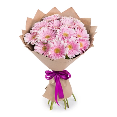 Нежный букет из 15 розовых гербер – воплощение трогательных чувств Армавир Краснодарский край Нежный букет из 15 розовых гербер – воплощение трогательных чувств Армавир Краснодарский край