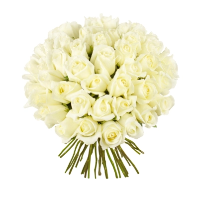 Роскошный букет из 51 белой розы – символ безграничной преданности Армавир Краснодарский край Роскошный букет из 51 белой розы – символ безграничной преданности Армавир Краснодарский край