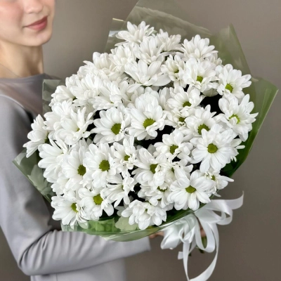 Букет «Мечты о лете» – свежесть белых хризантем Армавир Краснодарский край Букет «Мечты о лете» – свежесть белых хризантем Армавир Краснодарский край