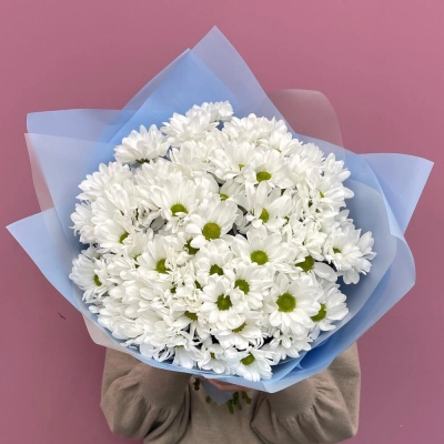 Букет «Ромашковое поле» – свежесть белых хризантем Армавир Краснодарский край Букет «Ромашковое поле» – свежесть белых хризантем Армавир Краснодарский край