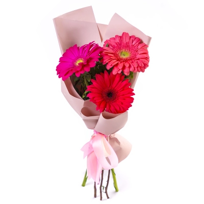 Яркий букет из 3 разноцветных гербер – маленькое чудо в ваших руках Армавир Краснодарский край Яркий букет из 3 разноцветных гербер – маленькое чудо в ваших руках Армавир Краснодарский край