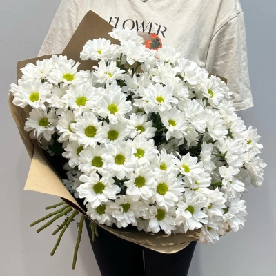 Букет «Летняя свежесть» – дыхание лета в белых хризантемах Армавир Краснодарский край Букет «Летняя свежесть» – дыхание лета в белых хризантемах Армавир Краснодарский край