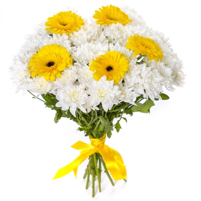 Солнечный букет из желтых гербер и белых хризантем – радость в каждом лепестке Армавир Краснодарский край Солнечный букет из желтых гербер и белых хризантем – радость в каждом лепестке Армавир Краснодарский край