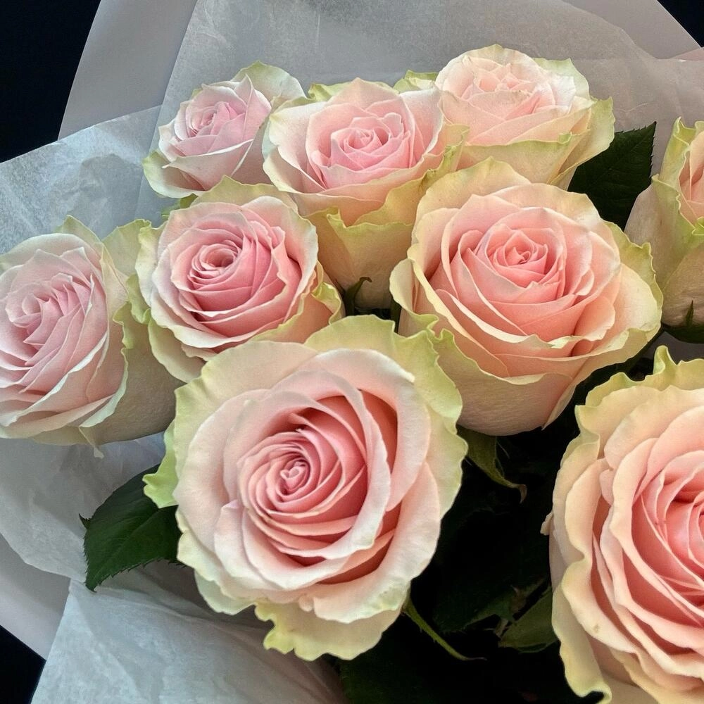 Букет из 9 розовых роз – нежность в каждом лепестке Армавир Краснодарский край Букет из 9 розовых роз – нежность в каждом лепестке Армавир Краснодарский край