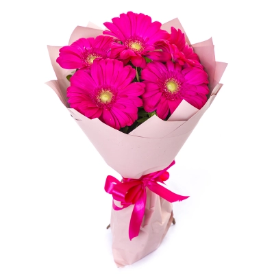 Букет из 5 малиновых гербер – сочный акцент вашего подарка Армавир Краснодарский край Букет из 5 малиновых гербер – сочный акцент вашего подарка Армавир Краснодарский край