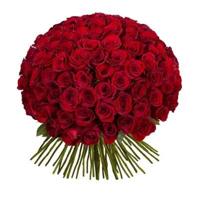 Букет из 101 красной розы – символ бесконечной страсти Армавир Краснодарский край Букет из 101 красной розы – символ бесконечной страсти Армавир Краснодарский край