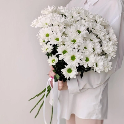 Букет «Ромашка» – 9 белоснежных хризантем в деревенском стиле Армавир Краснодарский край Букет «Ромашка» – 9 белоснежных хризантем в деревенском стиле Армавир Краснодарский край