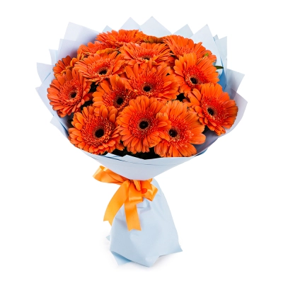 Яркий букет из 15 оранжевых гербер – как кусочек солнца в ваших руках Армавир Краснодарский край Яркий букет из 15 оранжевых гербер – как кусочек солнца в ваших руках Армавир Краснодарский край
